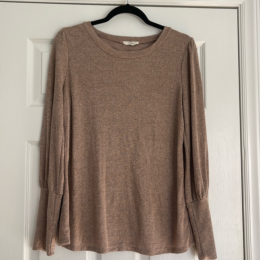 Champagne glitter sweater